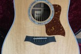 Taylor 810E Legacy Edition-1.jpg